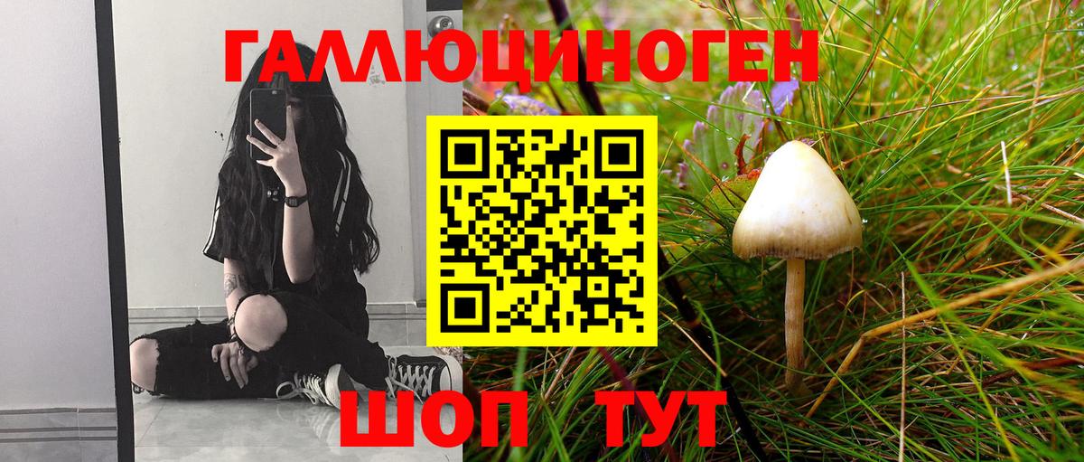 как найти наркотики  Псилоцибиновые грибы Psilocybine cubensis  Вход с VPN  Мыски 